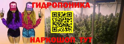 гидропоника Краснокаменск
